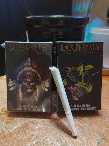 411363814 1523014155185713 8480803470383357372 N