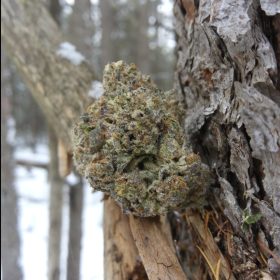 Img 20240105 121229 910