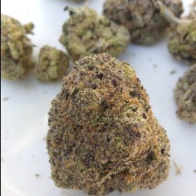 Grape Runtz by Exotic Genetix photo review