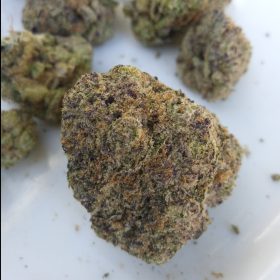 Grape Runtz by Exotic Genetix photo review