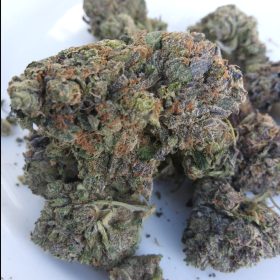 Img 20240213 140118 718