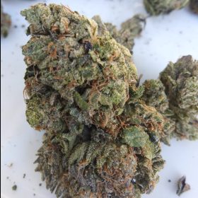 Master Kush photo review