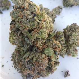 Master Kush photo review