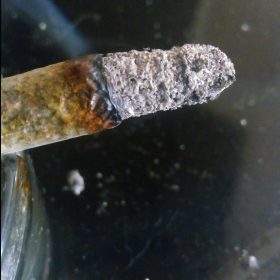 Img 20240229 121654 891