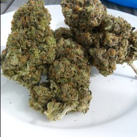 Img 20240314 114642 856