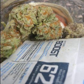 Img 20240405 125144 739