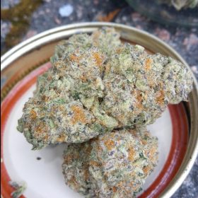 Img 20240405 125229 415