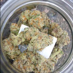 Img 20240405 125251 054