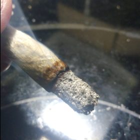 Img 20240405 215523 211