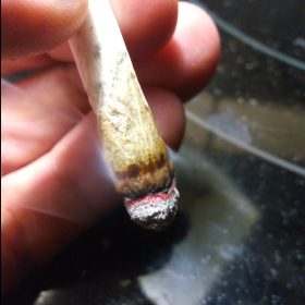 Img 20240405 215908 845