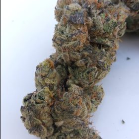 Img 20240409 142727 174