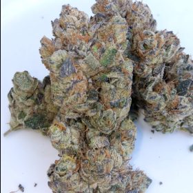 Img 20240409 142841 386