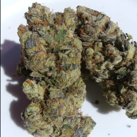 Img 20240409 142926 636