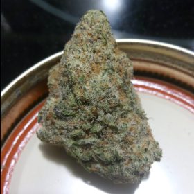 Img 20240418 161819 241