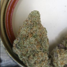 Img 20240418 162033 732