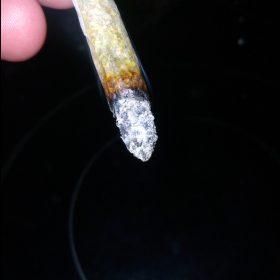 Img 20240418 214819 873