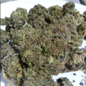 Img 20240425 124133 963