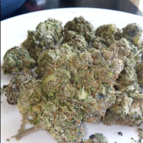 Img 20240425 124227 174