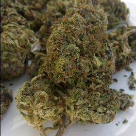 Img 20240425 124457 854