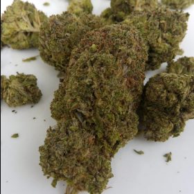 Img 20240503 131515 212