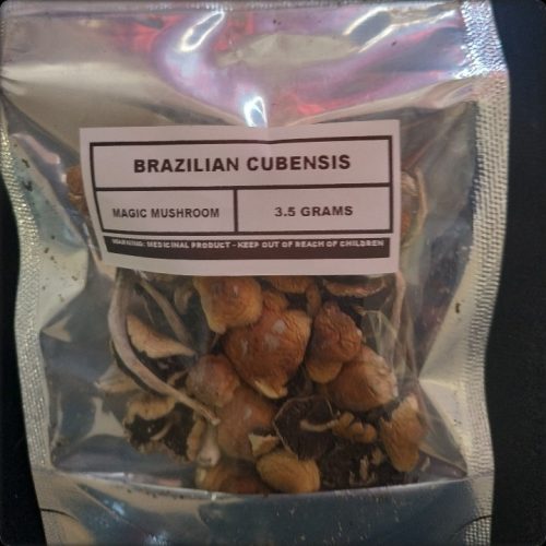 Brazilian Cubensis photo review