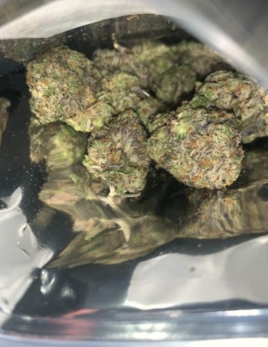 Northern Lights photo review