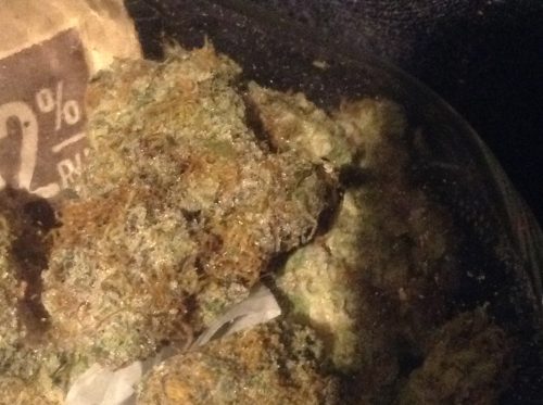 Apple Fritter photo review