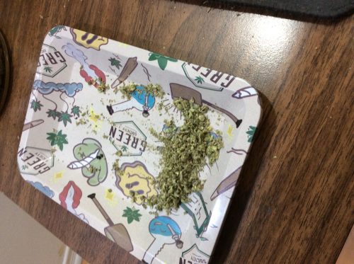 Green Society Rolling Tray photo review