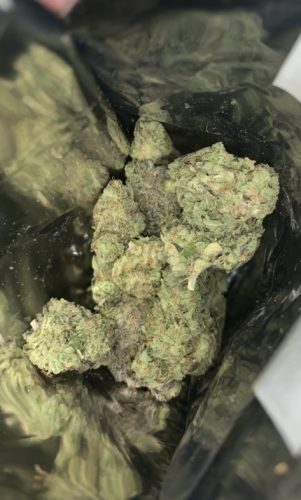 Northern Lights photo review