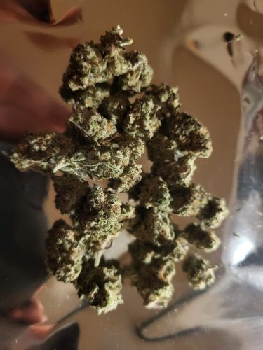 Miracle Alien Cookies #10 (Popcorn) photo review