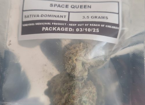 Space Queen photo review