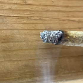 Animal Crackers (Popcorn) photo review