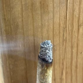 Animal Crackers (Popcorn) photo review