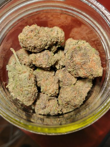 Miracle Alien Cookies #10 photo review