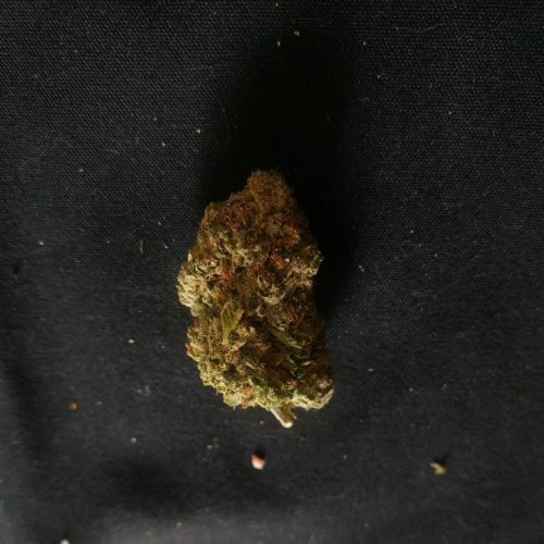 Rockstar photo review