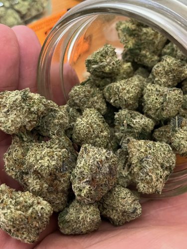 Bread & Butter photo review