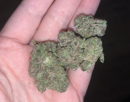 Gorilla Haze photo review