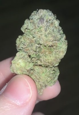 Gas Mask photo review