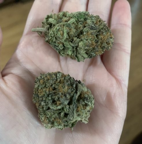 Indica Crystal Extreme photo review
