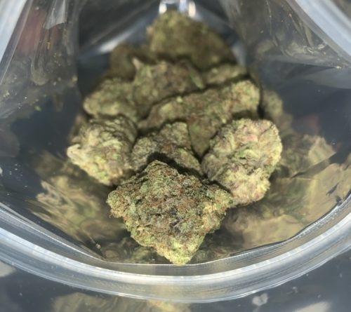 Northern Lights photo review