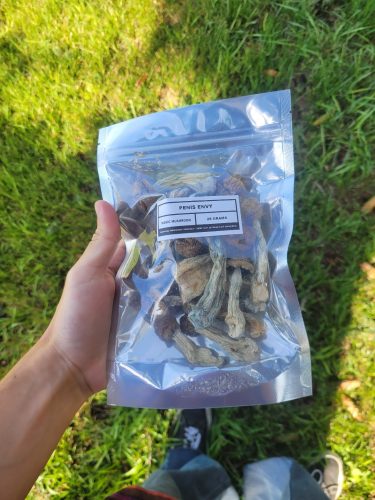 Click to view full screen Penis Envy photo review