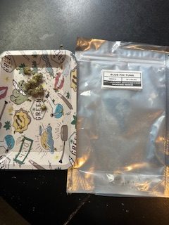 Blue Fin Tuna photo review