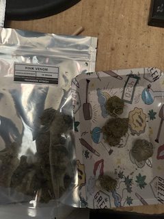 Click to view full screen Pink Venom photo review