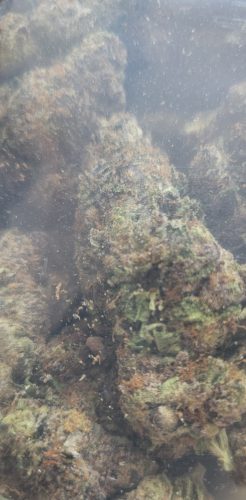 First Class Funk photo review