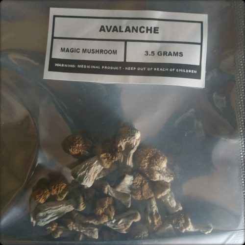 Avalanche photo review
