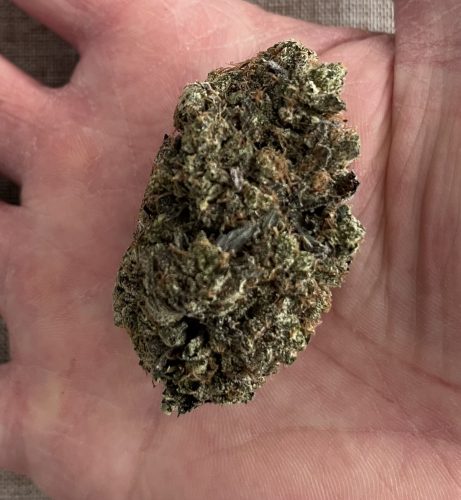 Greasy Death Bubba photo review