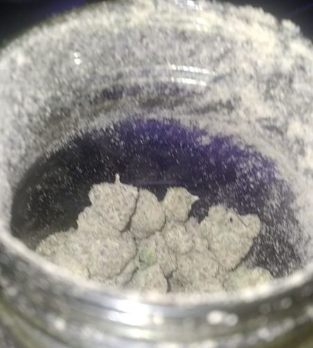 Animal Crackers (Popcorn) photo review