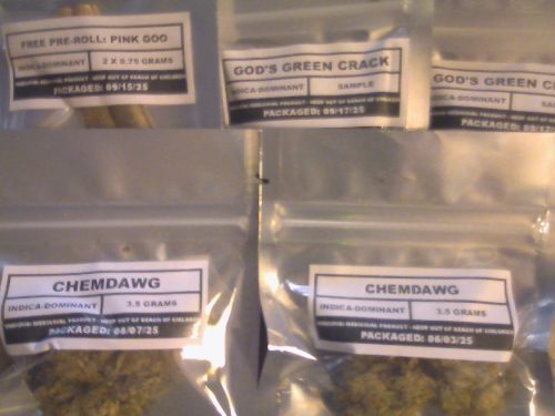 Chemdawg photo review