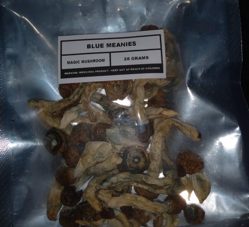 Blue Meanies photo review