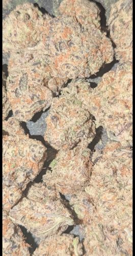 Mike Tyson by Pluto Craft Cannabis (Organic) photo review